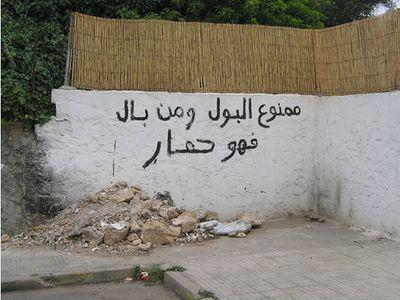 salama 3alikom